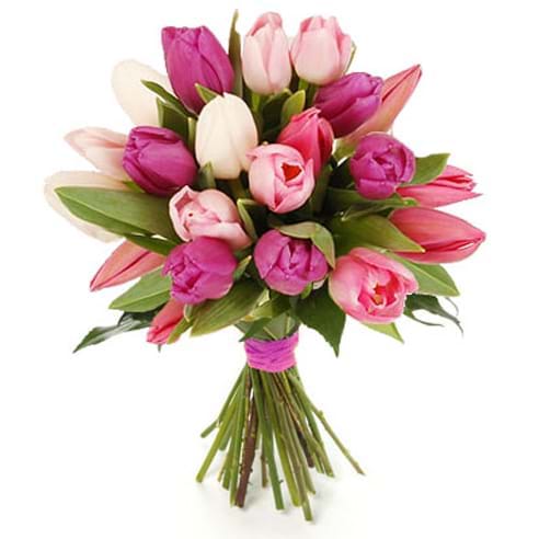 Italia in fiore consegna tulipani rosa in Italia