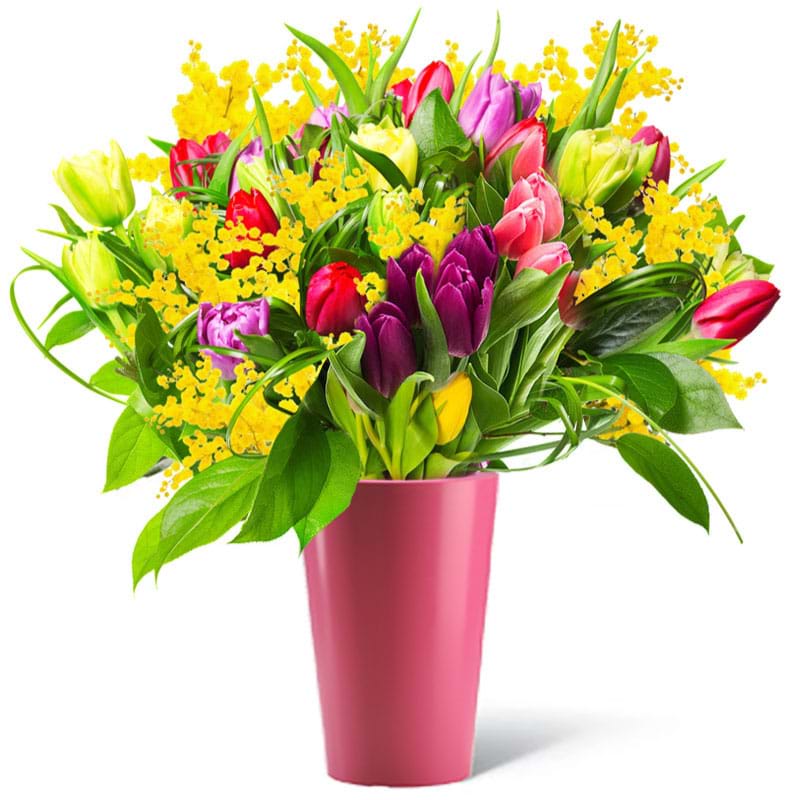Spedire  tulipani colorati con vaso rosa e mimosa