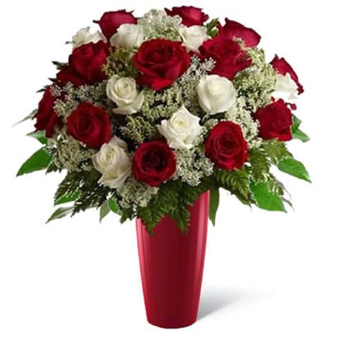 rose rosse e bianche in vaso rosso